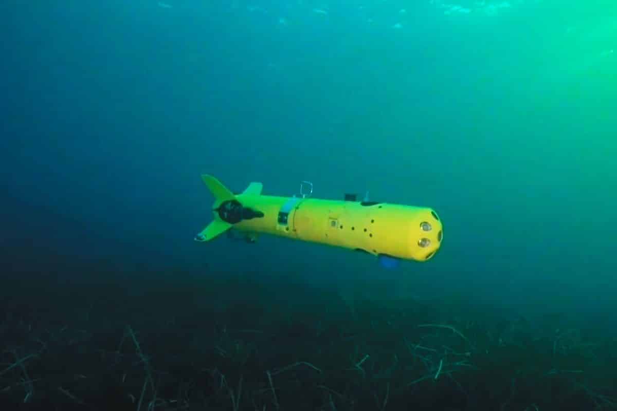 La France nouvelle référence du drone sous-marin ? Avec ce méga-contrat sa nouvelle pépite affiche un carnet de commandes qui dépasse les 1000 exemplaires