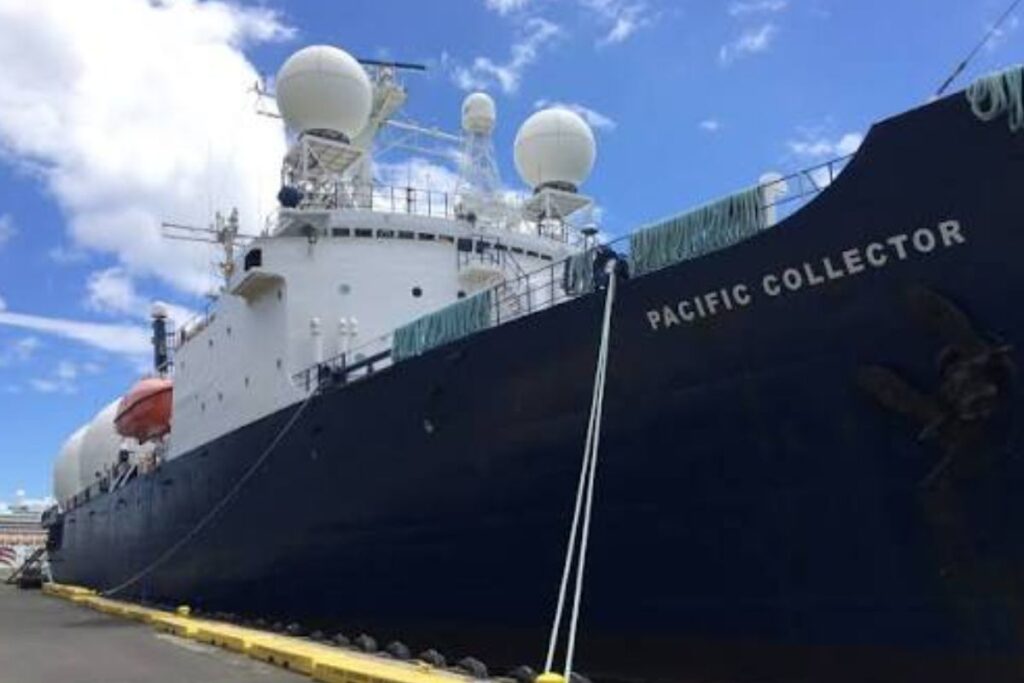 Le Pacific Collector à Honolulu - crédit : Daniel Ramirez
